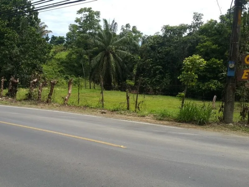 0 bed Land For Sale in Manuel Antonio, Puntarenas - 1