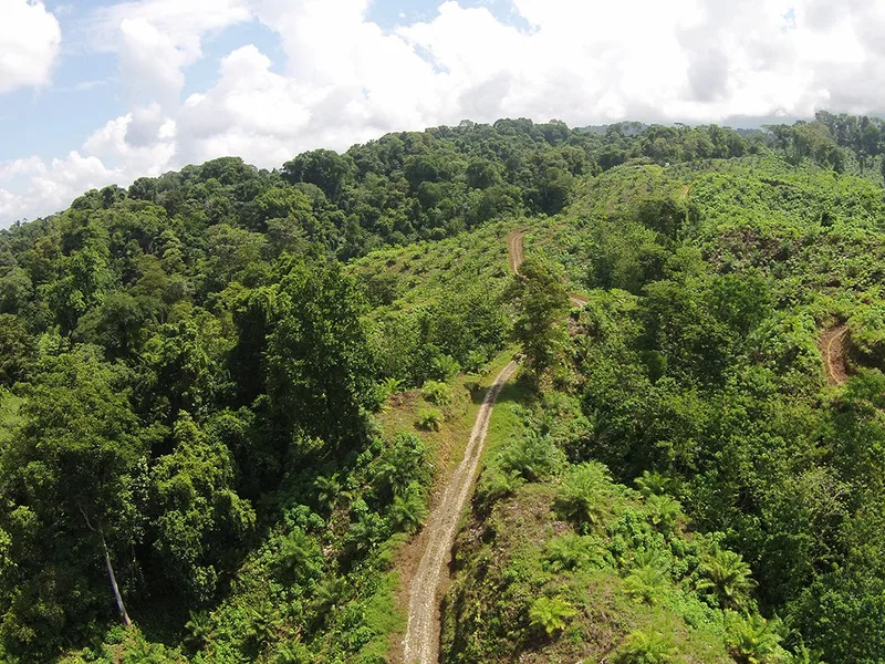 0 bed Land For Sale in Palmar, Puntarenas - 1