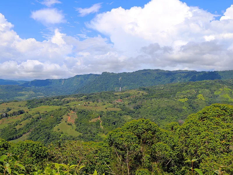 0 bed Land For Sale in Dominical, Puntarenas - 1