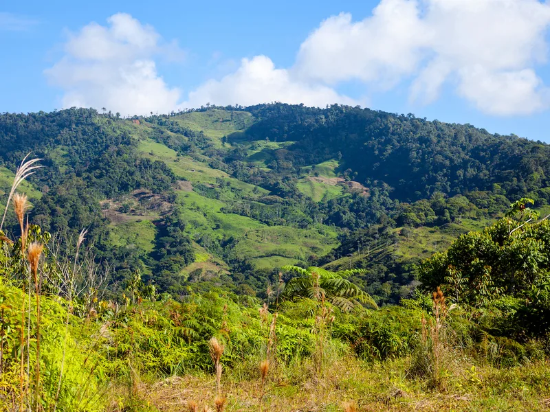 0 bed Land For Sale in Perez Zeledon, Puntarenas - 1