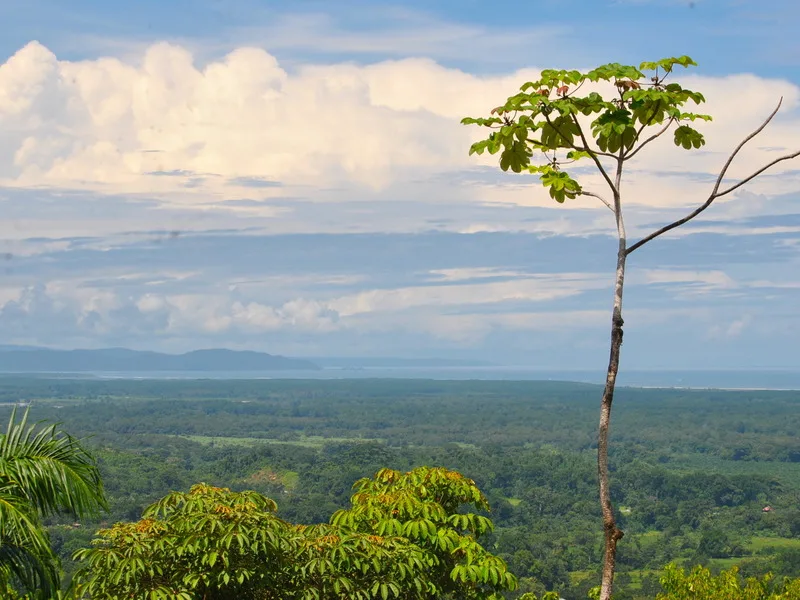 0 bed Land For Sale in Ciudad Cortes, Puntarenas - 1