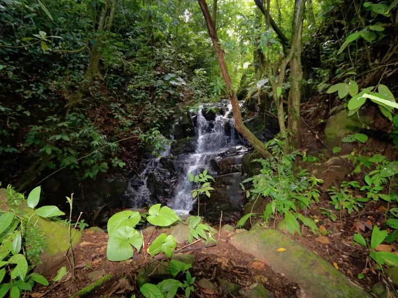 0 bed Land For Sale in Dominical, Puntarenas - 1