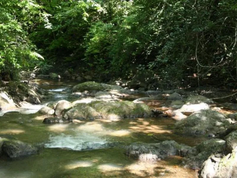 0 bed Land For Sale in Samara, Guanacaste - 1