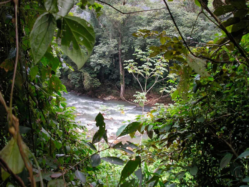 0 bed Land For Sale in Dominical, Puntarenas - 1