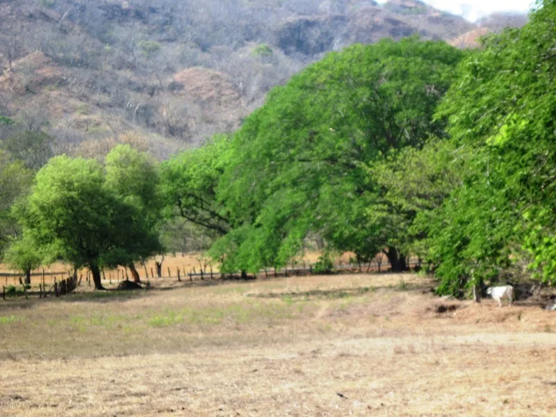 0 bed Land For Sale in Belen, Guanacaste - 1