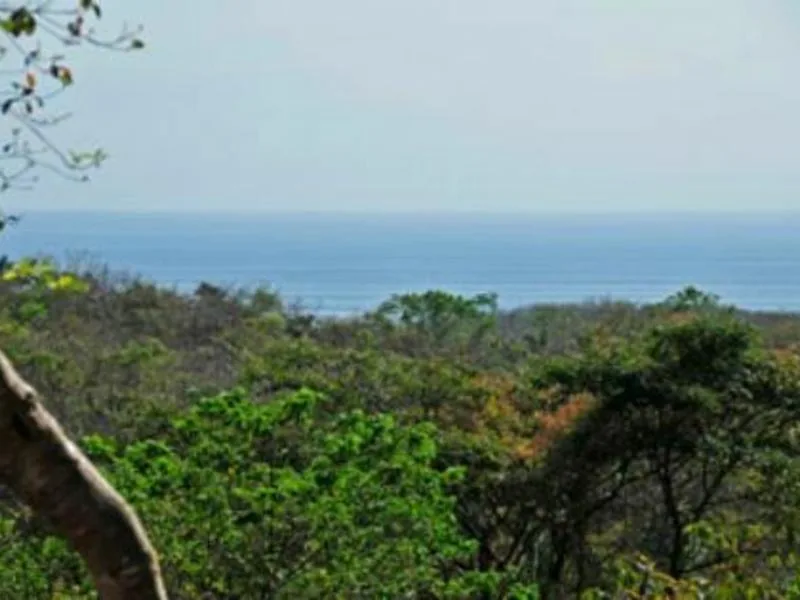 0 bed Land For Sale in Santa Cruz, Guanacaste - 1