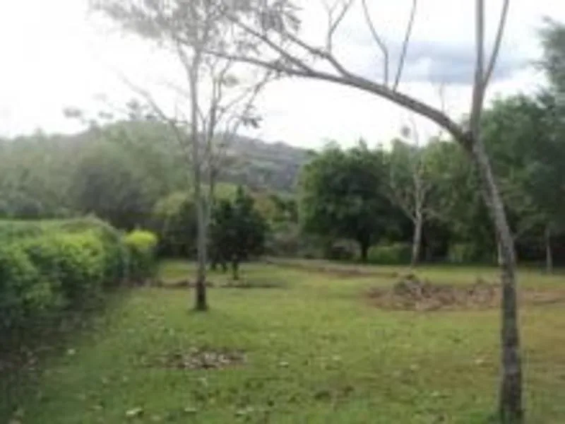 0 bed Land For Sale in Grecia, Alajuela - 1