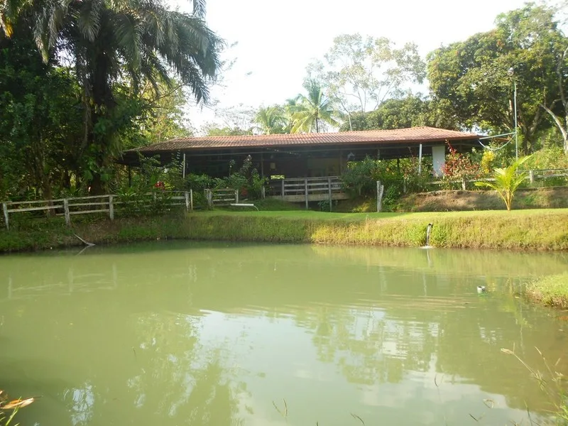 3 bed Land For Sale in Quepos, Puntarenas - 1