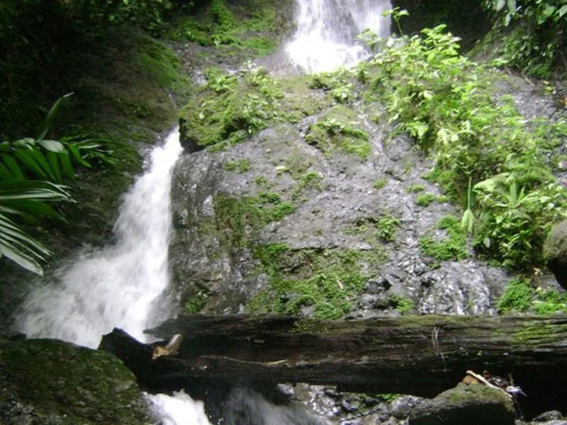0 bed Land For Sale in Parrita, Puntarenas - 1