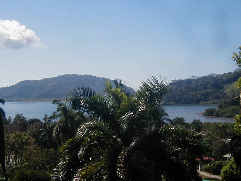 0 bed Land For Sale in Golfito, Puntarenas - 1