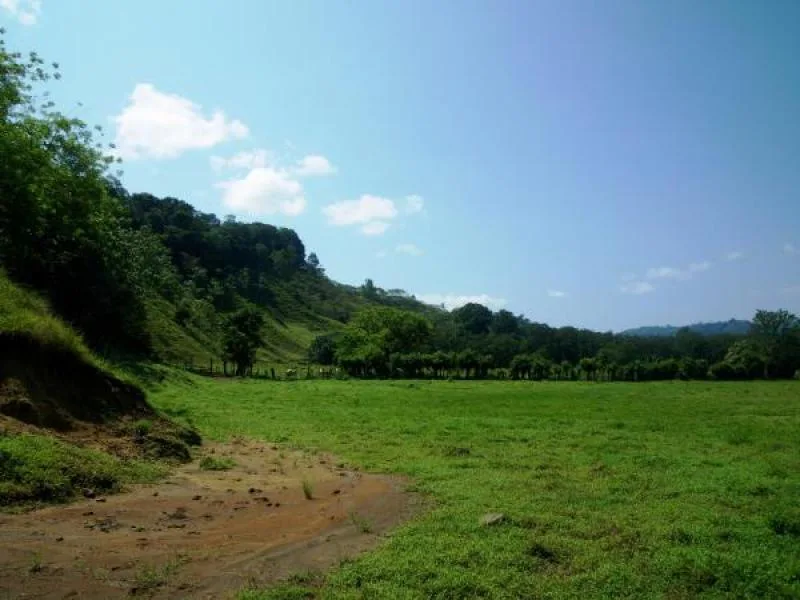0 bed Land For Sale in Sierpe, Puntarenas - 1