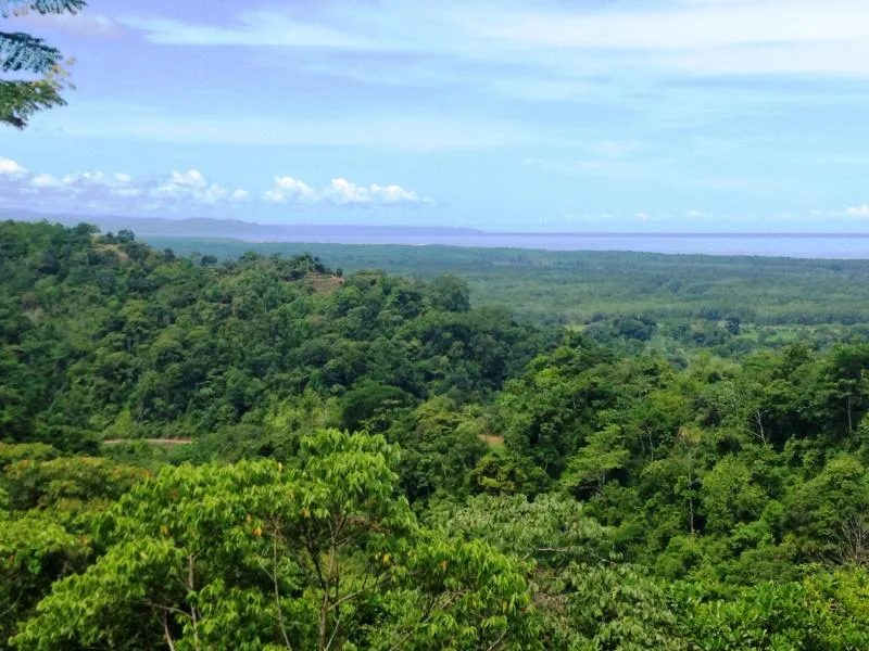 0 bed Land For Sale in Ojochal, Puntarenas - 1