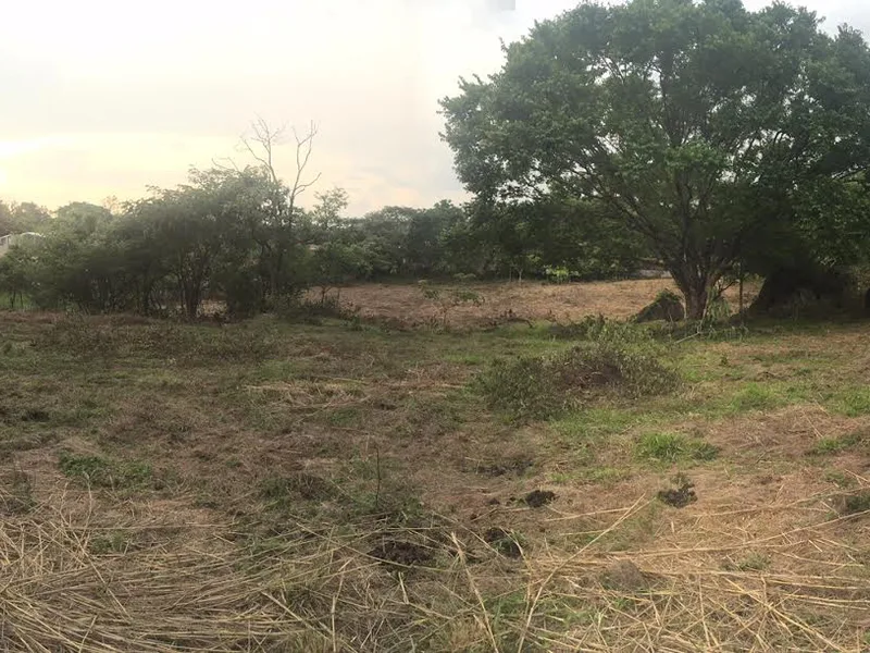 0 bed Land For Sale in Alajuela, Alajuela - 1