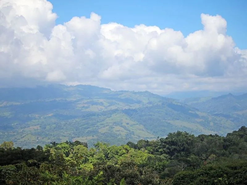 0 bed Land For Sale in Dominical, Puntarenas - 1