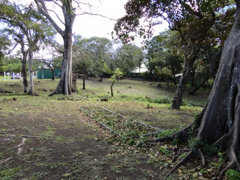 0 bed Land For Sale in Rio Oro, San Jose - 1