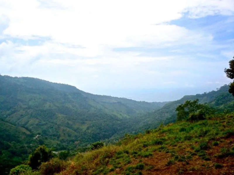 0 bed Land For Sale in Dominical, Puntarenas - 1