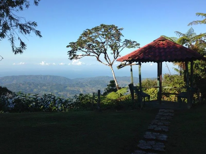 3 bed Single Family Homes For Sale in Dominical, Puntarenas - 1